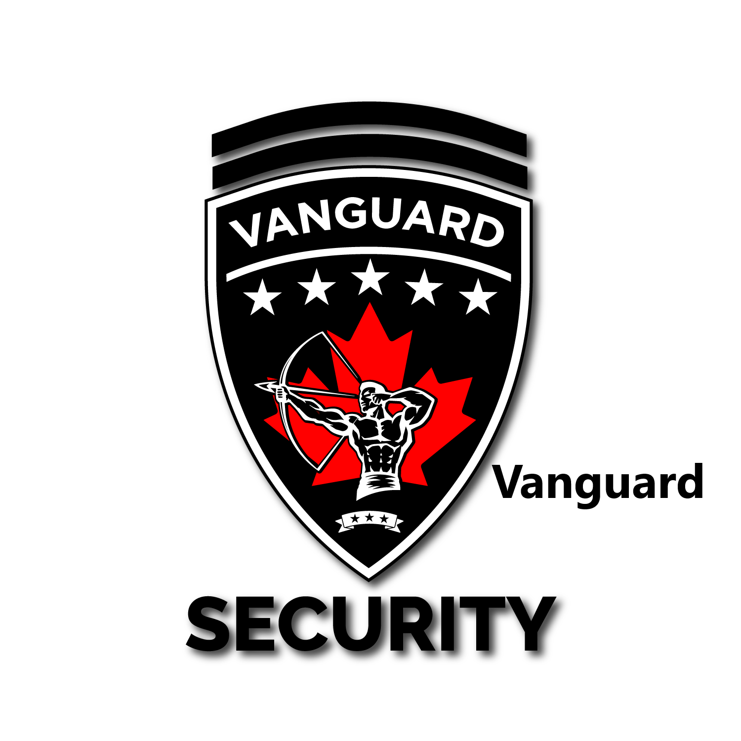 Vanguard Protection & Security Services Inc.